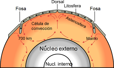 Corrrientes de convección en el manto