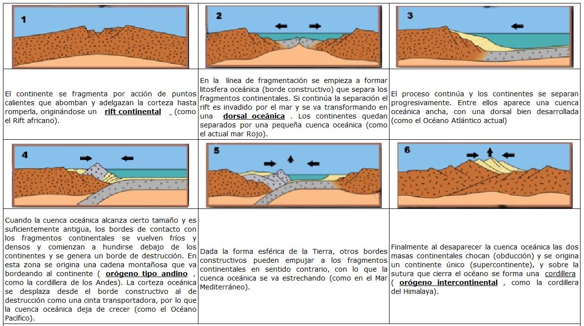 Ciclo de Wilson 