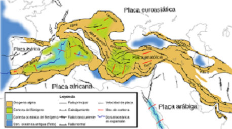 Orogenia alpina Orogenia alpina